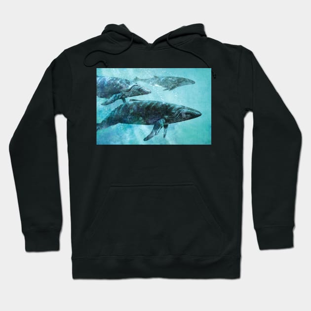 Pod Hoodie by Terry Fan